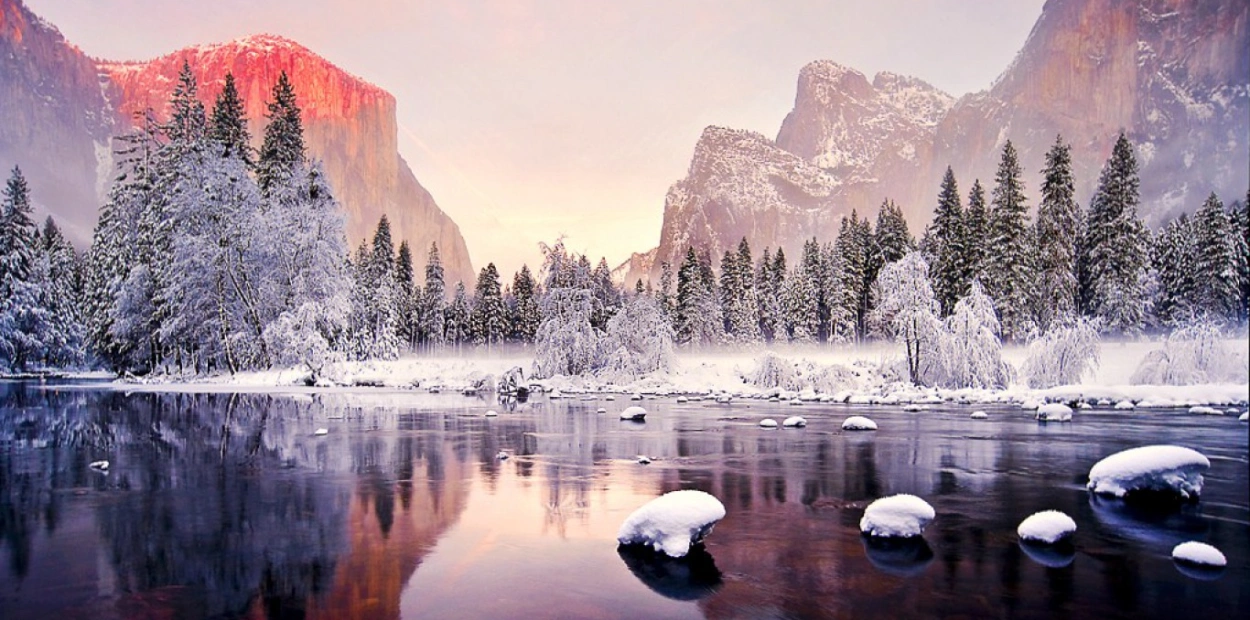 Winter nature
