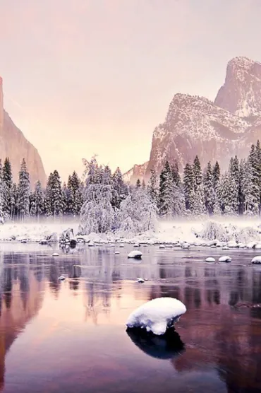 Winter nature