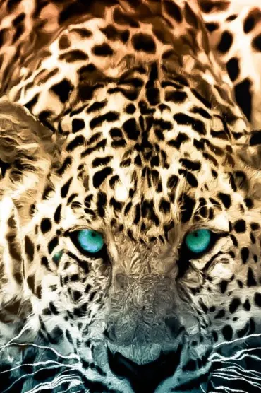 Animal Jaquar