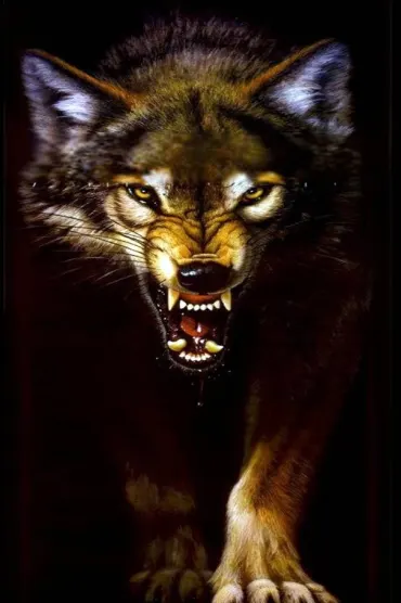 Animales