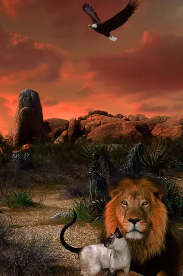Animals Ultra Hd