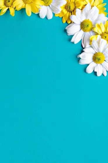 Blue Wallpapers Bg