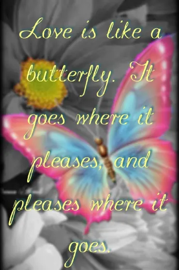 Butterfly H6