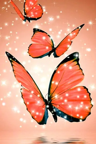 Butterfly Sparkles