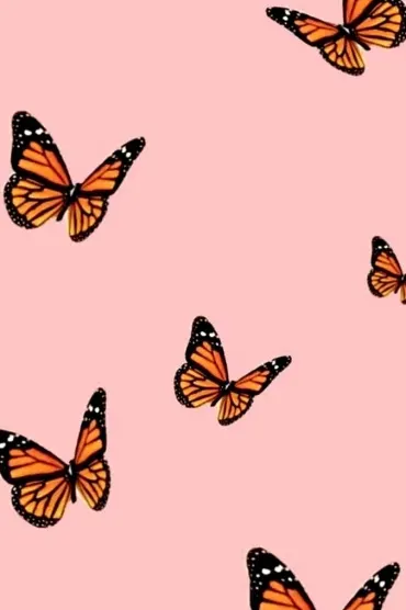 Butterfly Topia