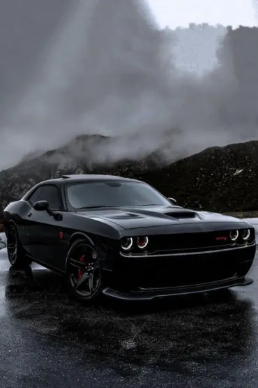 Car & Car