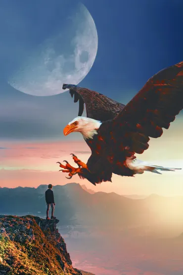 Eagle WALLPAPERS