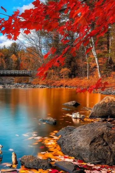 Fall B A E
