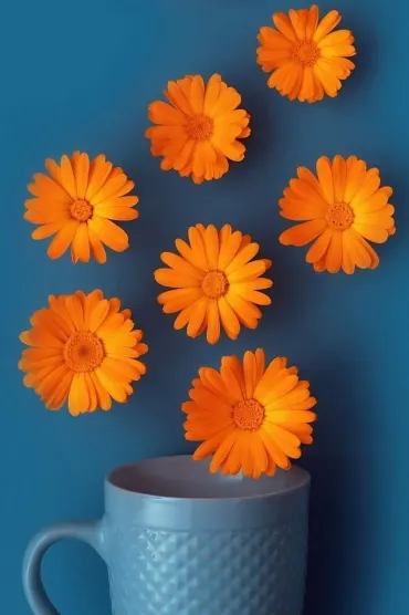 Flower Bg 99sj