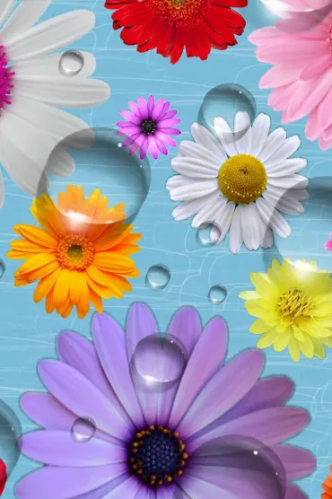 Flowers Aad