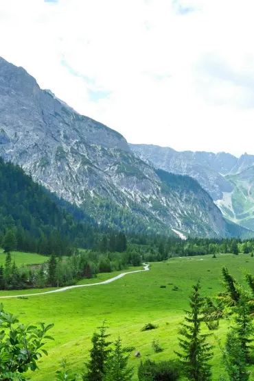 Green Wild