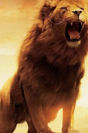 Lion Hs
