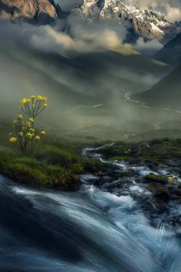 Nature F Fc E A