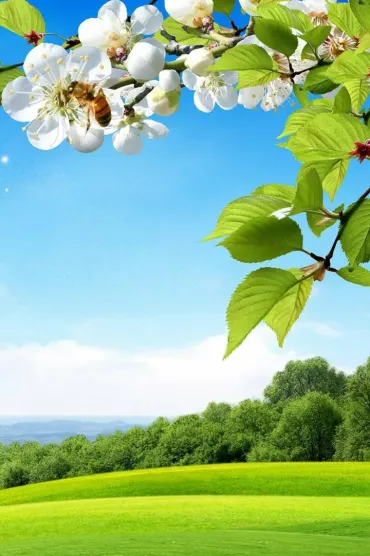 Nature Hd