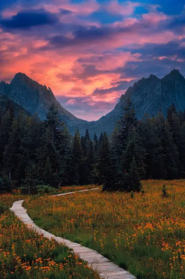 Nature Rr