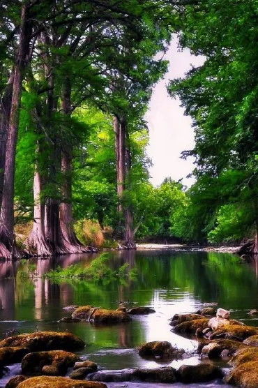 Nature View E