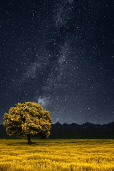 Night Sky 3