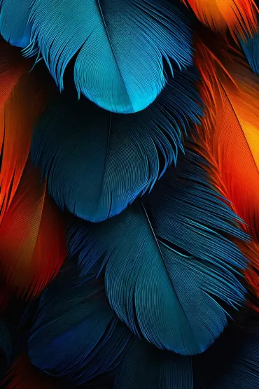 Painsno Hd