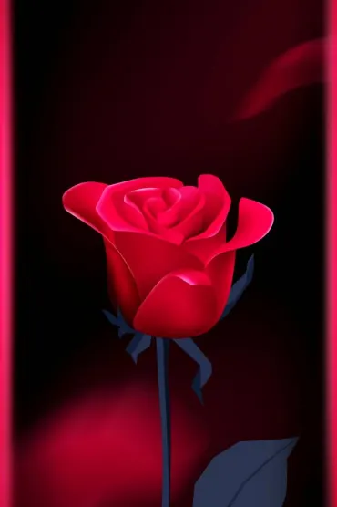 PerfectRose C
