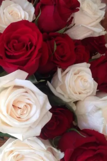 Rose Flower C
