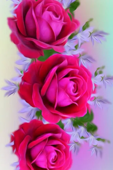 Roses Fbeb D