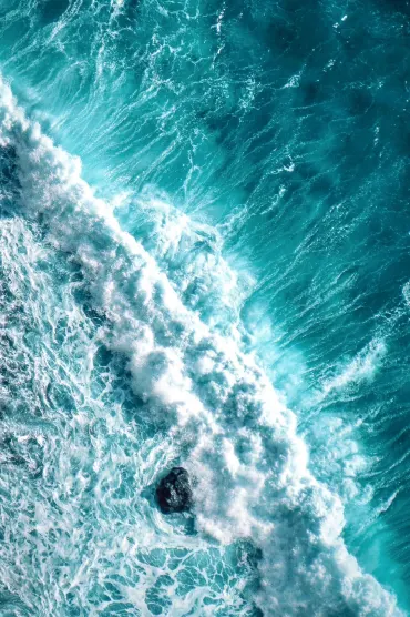 Sea 99s