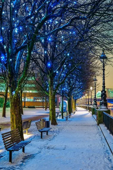 Snow Landscape