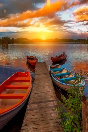 Sunset C D