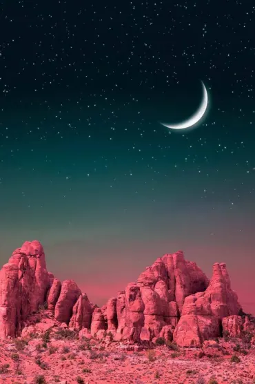 Wallpaper