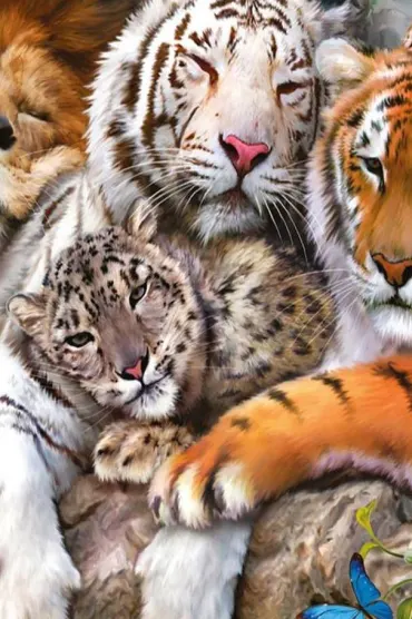 Wild Animals Hd