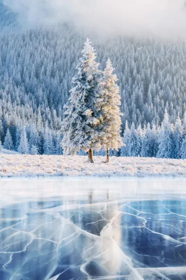 Winter Day 292