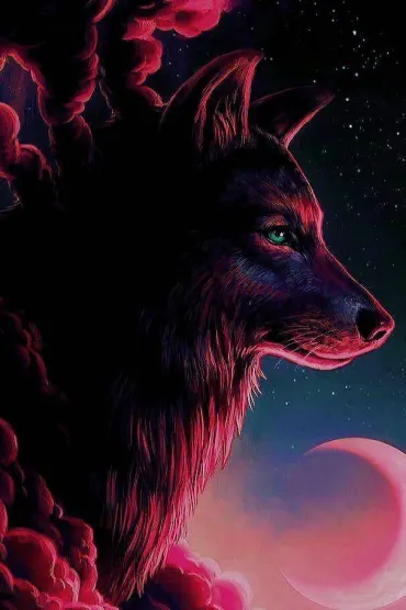 Wolf Bec E Hd